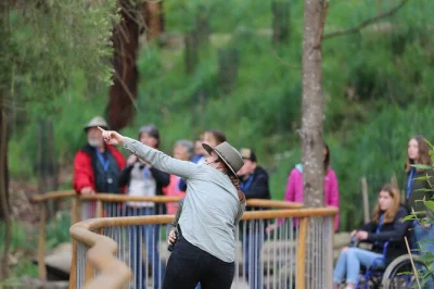 Descubre el silencio del bosque de otways, observa koalas en libertad y charla con conservacionistas en este paseo por la great ocean road. incluye guía, binoculares y sendero accesible.