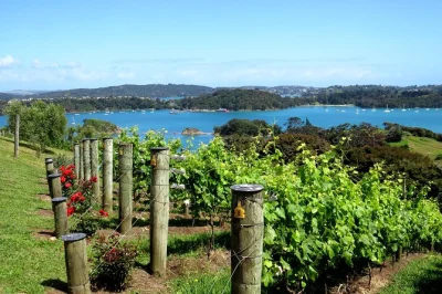 Descubra waiheke island com um tour privado de vinhos, guia local e degustação em 3 vinícolas boutique. inclui transporte do seu hotel na ilha.