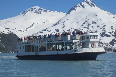 Descubre la alaska salvaje con un crucero al glaciar portage, observa osos y alces rescatados en el centro de vida silvestre y recorre el pintoresco turnagain arm, con recogida fácil desde anchorage.