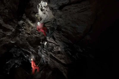 Vivi l’emozione della grotta rat’s nest a canmore—rappel, arrampicate e passaggi stretti con guide esperte. tutta l’attrezzatura inclusa per la tua avventura sotterranea.