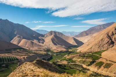 Feel the elqui valley’s energy on a day trip from la serena with pisco tastings, organic wine, and a home-style lunch in pisco elqui. includes pickup & local guide.