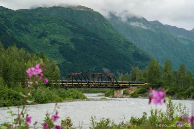 Scopri l’alaska selvaggia: viaggio sul glacier discovery train, incontro con orsi salvati al wildlife center e navigazione tra gli iceberg sul lago spencer. pranzo e biglietti a/r inclusi.