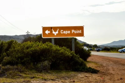 Descubre cape point, los pingüinos africanos en boulders beach y el colorido bo-kaap en un tour privado por ciudad del cabo. incluye guía, agua embotellada y peajes.