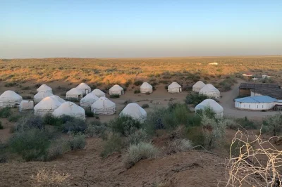 Feel the desert air on a yurt camp trip from bukhara to samarkand. swim in lake aidarkul, ride camels, and share music by the fire—includes pickup and meals.