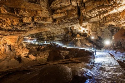 Discover vjetrenica cave on a private day trip from dubrovnik. explore ancient cave art, rare wildlife, and enjoy local bosnian cuisine. hotel pickup included.