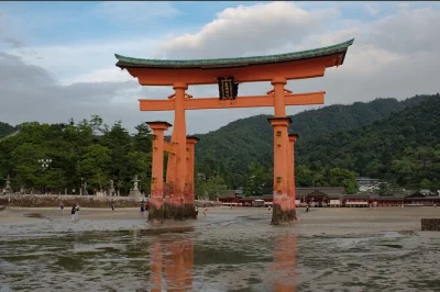 Scopri il parco della pace di hiroshima, attraversa in traghetto verso l’isola di miyajima e visita il santuario itsukushima con guida in spagnolo. include trasporti pubblici.