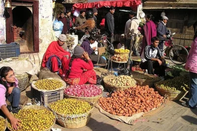 Katmandou, marché d’asan, ruelles cachées et vie locale : partez en balade guidée pour découvrir rituels et bazars animés avec un expert.