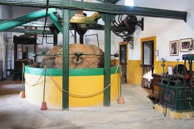 Erlebe andalusiens wärme bei einer geführten tour durch die olivenölmühle mit verkostung und einem bummel über den bunten markt von coín. inklusive abholung mit dem bus an der costa del sol.