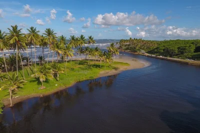 Explore trinidad’s coast, san fernando, mayaro beach & manzanilla on a guided circle tour with hotel pickup. see wildlife, beaches, and local life in one day.