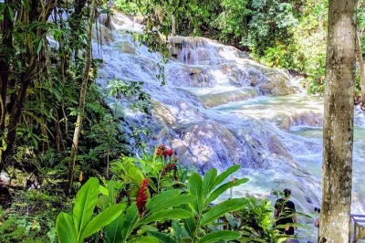 Book a private ocho rios tour with dunn’s river falls climb and fern gully rainforest drive. air-conditioned car, local guide, skip the crowds.