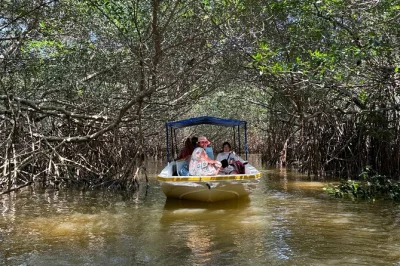 Entdecke celestún bei einer kleinen mangroven-bootstour mit flamingos, maya-lehm-bad und strandessen – inklusive abholung in mérida.