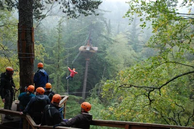 Feel your heart race on a skagway zipline tour—ropes course, canopy lines, and local guides included. pickup, gear, and snacks all sorted for you.