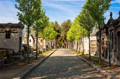 Scopri il cimitero père lachaise di parigi con una guida privata. visita tombe celebri, ascolta storie locali ed esplora il più grande polmone verde della città.