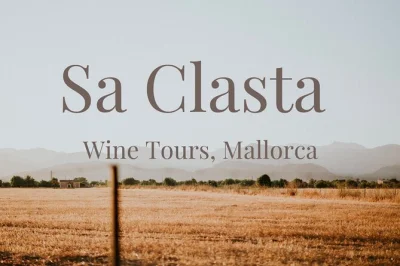 Let yourself drift through mallorca’s vineyards on a small-group wine tour, tasting local wines and tapas at two bodegas. includes island-wide pickup and a relaxed lunch.