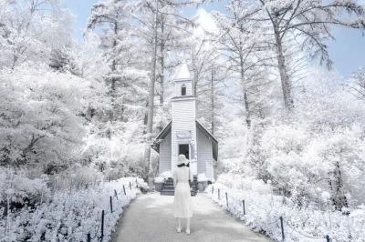 Feel the winter magic at eobi ice valley, stroll nami island’s tree-lined paths, ride vintage rail bikes, and wander the garden of morning calm—includes pickup and guide.