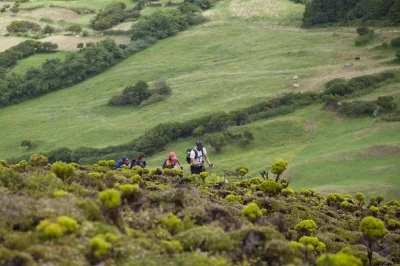 Recorre los 10 volcanes de faial con un guía privado. explora caldeira, capelinhos, bosques nativos y paisajes volcánicos. incluye transporte y bastones de senderismo.