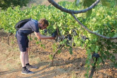 Explore o interior de berat de 4x4, visite os vinhedos da vila de malinat e desfrute de uma degustação de vinhos locais com famílias anfitriãs. reserve sua experiência autêntica na albânia.