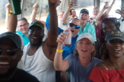 Reserve transporte privado para dunn's river falls com paradas flexíveis, veículo com ar-condicionado e dicas locais. ideal para famílias, seguro e com retirada fácil em qualquer resort.