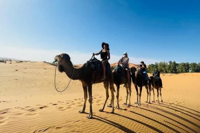 Tour privado de 3 días por el desierto de marruecos, de fez a marrakech. paseo en camello por erg chebbi, campamento de lujo, gargantas del todra, ait ben haddou y montañas del atlas.