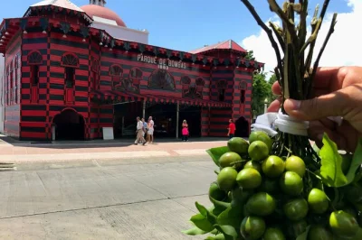 Circle puerto rico in a single day from san juan with a local guide, stopping at arecibo, ponce, movie sites & authentic puerto rican lunch. includes pickup.