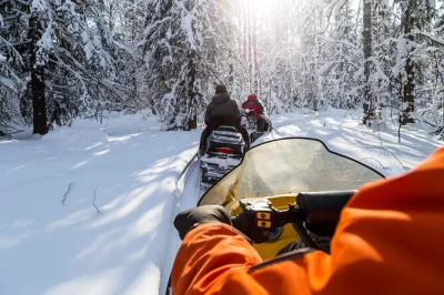 Feel the rush of snowmobiling in zakopane, taste oscypek cheese in a mountain hut, and share a bonfire meal. includes pickup, guide, and transfers.