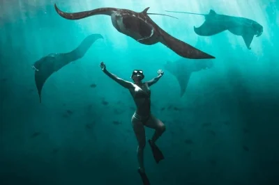 Swim with wild manta rays in nusa penida, enjoy vibrant reefs, and relax over a beachfront lunch. includes hotel pickup, fast boat, gear, and local guide.