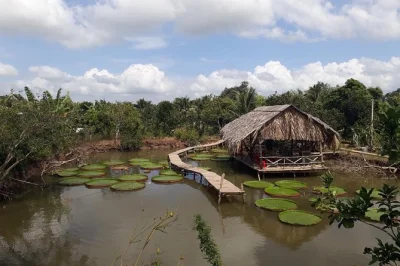 Descubra o mercado flutuante cai rang, café da manhã local, passeio pelos canais e oficina de bolos no delta do mekong. tour de dia inteiro saindo de ho chi minh.