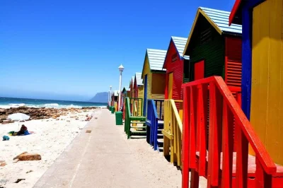 Feel the cape’s wild side on a private day trip from cape town. spot penguins, stroll hidden beaches, drive chapman's peak & skip the crowds. includes hotel drop-off.