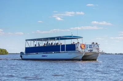 Feel the quiet wild of florida’s 10,000 islands on a small group boat tour. spot dolphins, manatees, and birds with a local guide. departs daily near marco island.