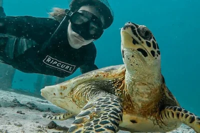 Tour privado por las islas similan con snorkel, arrecifes de coral y playas tranquilas. explora koh miang, payu, bangu y similan con un guía local. reserva ya.