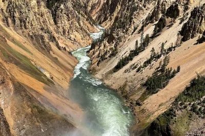 Sinta a energia selvagem de yellowstone em um passeio de dia inteiro saindo de bozeman, com paradas para ver animais, erupções do old faithful e almoço incluso. transporte e guia local incluídos.