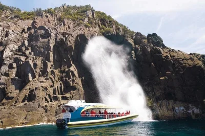 Feel the wild side of bruny island with a full-day cruise from hobart, exploring sea cliffs, caves, and local wildlife. includes ferry, lunch, and local guide.