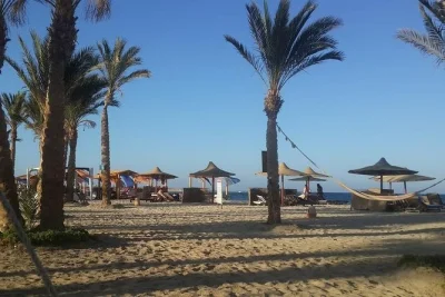 Nada con tortugas marinas y avista dugongos en una excursión de día completo a la playa abu dabbab desde hurghada. incluye traslados, almuerzo y equipo de snorkel.
