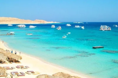 Descubre el mar rojo en hurghada con un tour de snorkel de día completo. nada entre arrecifes y peces de colores en isla giftun. incluye almuerzo y traslado hotel.