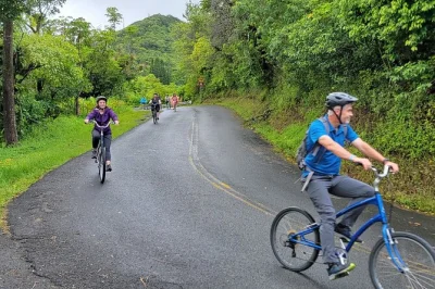 Family-friendly honolulu downhill bike tour & ko'olau waterfall hike. includes hotel pickup, gear, and local guide. explore oahu's rainforest & views.