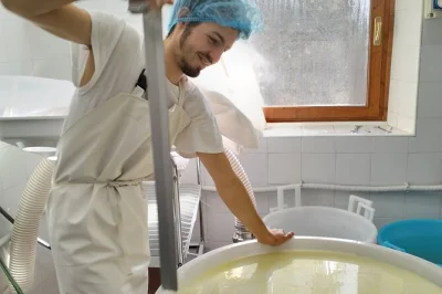 Dolomitas, oficina de queijo artesanal com mestre local. aprenda a fazer burrata e primo sale, prove suas criações e leve seu queijo para casa. lanches e acessibilidade inclusos.