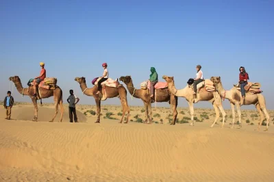 Découvrez un vrai safari à dos de chameau dans le désert du thar au rajasthan. dormez sous les étoiles, explorez des dunes isolées et savourez des repas locaux. réservez votre aventure dans le d