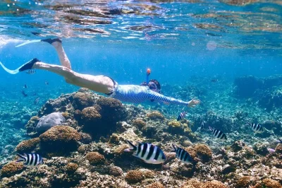 Prenota un tour privato di mezza giornata in barca a grand cayman. nuota con le razze, visita starfish beach e fai snorkeling tra le barriere coralline. guide in inglese e spagnolo.