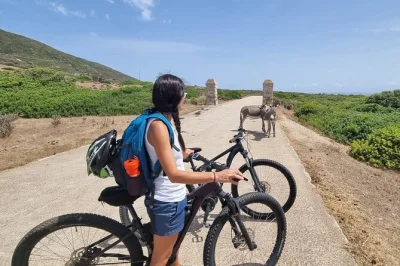 Partez de porto torres pour une journée en e-bike sur asinara, avec prise en charge facile au ferry, paysages sauvages et liberté totale pour explorer à votre rythme.