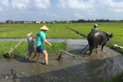 Scopri la campagna di hoi an: ceramiche di thanh ha, orti di tra que, risaie e una cena vietnamita autentica. prenota ora il tuo tour unico.