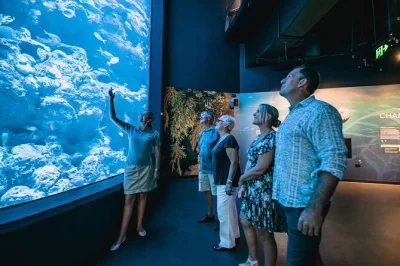 Feel the after-hours magic at cairns aquarium, join a guided twilight tour, then unwind with a 3-course dinner at squire's loft. includes entry & dining.