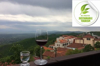 Explore a região de kakheti na geórgia com um tour privado por vinícolas orgânicas. visite 3 vinícolas familiares, desfrute de almoço local e prove vinhos naturais perto de tbilisi.