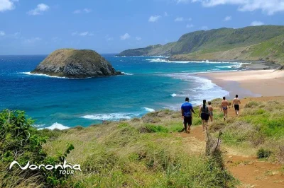 Swim at baía do sancho, snorkel with turtles, and catch sunset at boldró fort on this fernando de noronha day trip. includes transfers and local guide support.