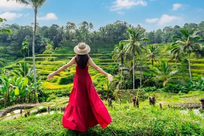 Erlebe ubud hautnah mit einer privaten tagestour zu den reisterrassen von tegalalang, dem tirta empul tempel, dem affenwald und dem tegenungan wasserfall. inklusive hoteltransfer.