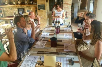 Descubra os vinhos brunello de montalcino em um tour privado de um dia com sommelier local, caminhada pelas vinhas, degustação na adega e tempo livre na vila medieval.