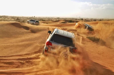 Feel the rush of dune bashing in ras al khaimah, ride camels at sunset, try sandboarding, and enjoy a live bbq dinner under desert stars. includes pickup and local guide.