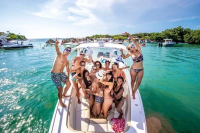 Découvrez les îles rosario en snorkeling, faites la fête à cholón, détendez-vous au mambo beach club à barú et terminez au club privé de tierra bomba. déjeuner inclus.