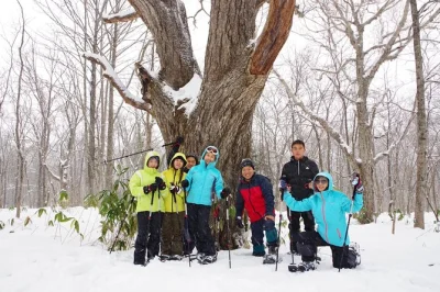 Veja macacos selvagens no parque dos macacos da neve de nagano e caminhe com raquetes pela floresta de inverno do santuário togakushi. guia licenciado, equipamento e café incluídos.
