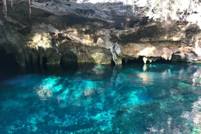 Vivi l’emozione a tulum con tuffi dai dirupi, snorkeling al gran cenote e nuoto nella giungla al casa cenote. include attrezzatura, snack e trasporto andata e ritorno.