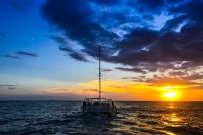 Saia de herradura rumo a playa fantasia de catamarã, aproveite uma praia tranquila, vida selvagem, almoço fresquinho e bebidas, com transporte incluso. grupo pequeno para um dia relax.